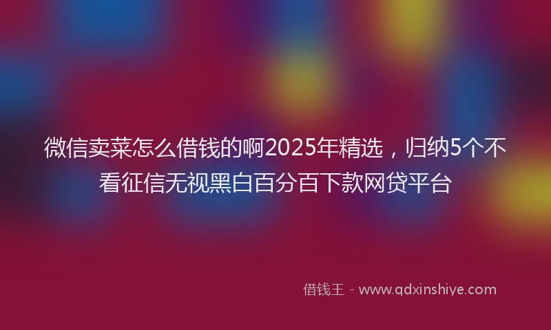 微信卖菜怎么借钱的啊2025年精选，归纳5个不看征信无视黑白百分百下款网贷平台
