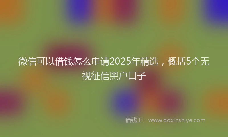 微信可以借钱怎么申请2025年精选，概括5个无视征信黑户口子