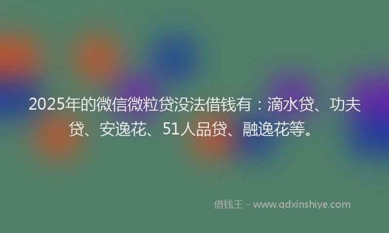 2025年的微信微粒贷没法借钱有：滴水贷、功夫贷、安逸花、51人品贷、融逸花等。
