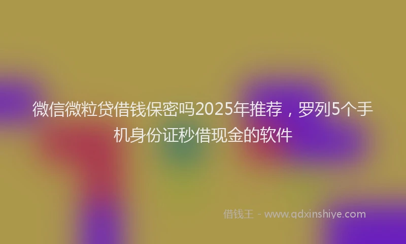 微信微粒贷借钱保密吗2025年推荐，罗列5个手机身份证秒借现金的软件