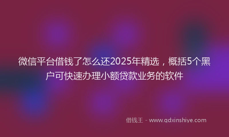 微信平台借钱了怎么还2025年精选，概括5个黑户可快速办理小额贷款业务的软件