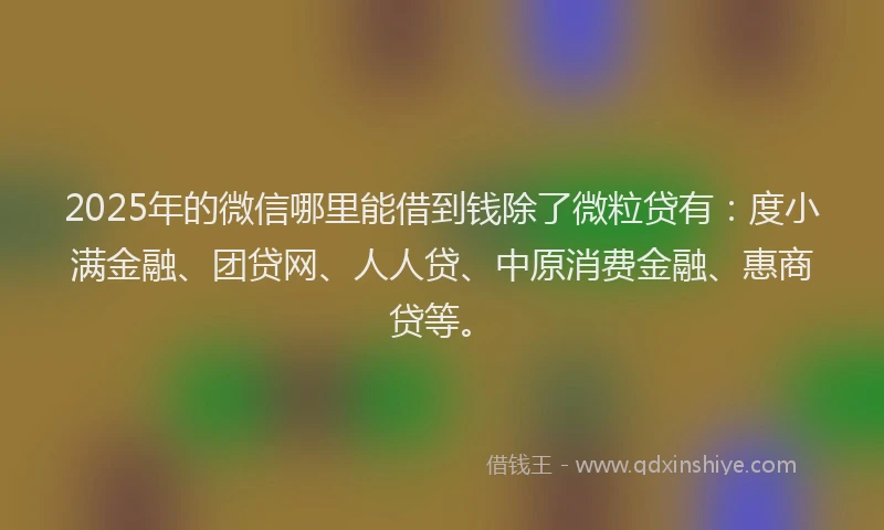 2025年的微信哪里能借到钱除了微粒贷有：度小满金融、团贷网、人人贷、中原消费金融、惠商贷等。