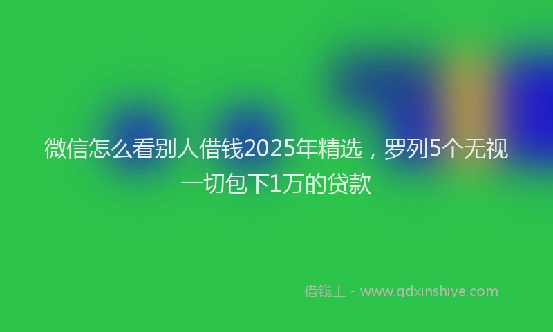 微信怎么看别人借钱2025年精选，罗列5个无视一切包下1万的贷款