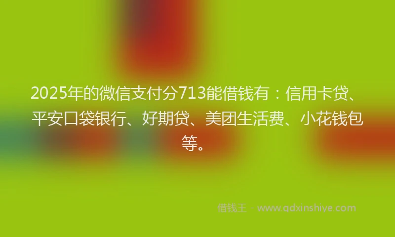 2025年的微信支付分713能借钱有：信用卡贷、平安口袋银行、好期贷、美团生活费、小花钱包等。