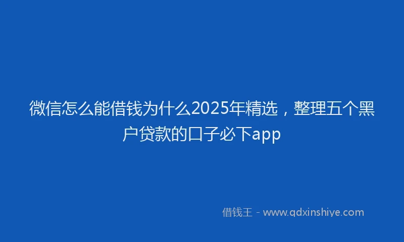 微信怎么能借钱为什么2025年精选，整理五个黑户贷款的口子必下app