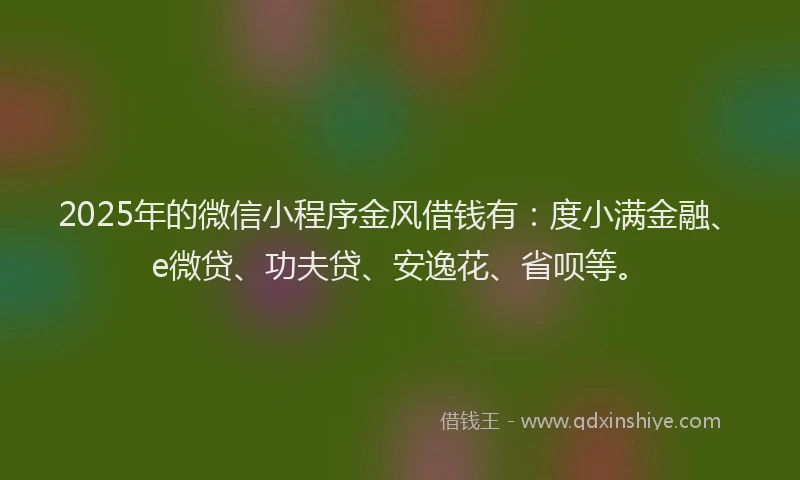 2025年的微信小程序金风借钱有：度小满金融、e微贷、功夫贷、安逸花、省呗等。
