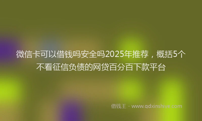 微信卡可以借钱吗安全吗2025年推荐，概括5个不看征信负债的网贷百分百下款平台