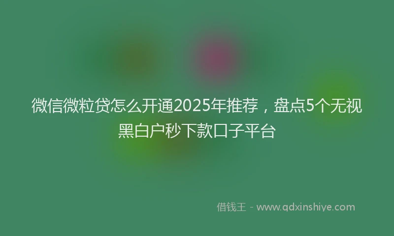 微信微粒贷怎么开通2025年推荐，盘点5个无视黑白户秒下款口子平台