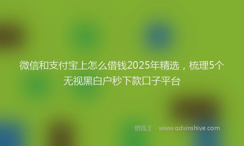 微信和支付宝上怎么借钱2025年精选，梳理5个无视黑白户秒下款口子平台