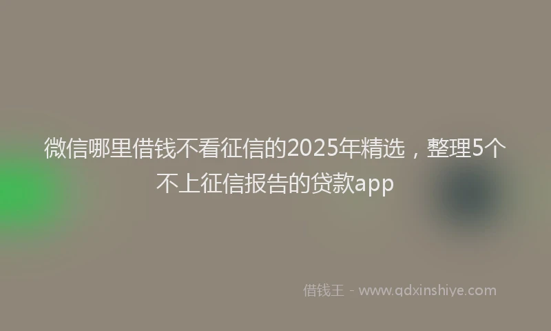 微信哪里借钱不看征信的2025年精选，整理5个不上征信报告的贷款app