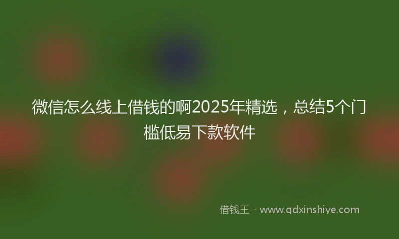 微信怎么线上借钱的啊2025年精选，总结5个门槛低易下款软件