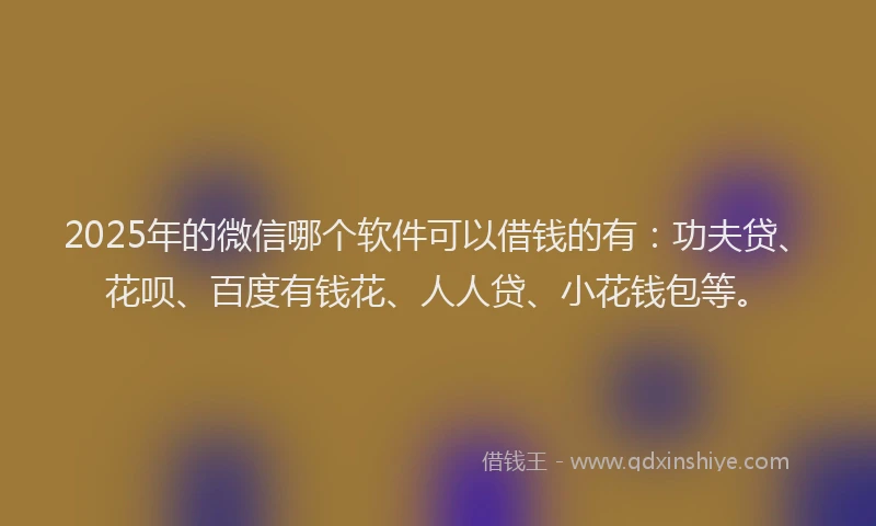 2025年的微信哪个软件可以借钱的有：功夫贷、花呗、百度有钱花、人人贷、小花钱包等。
