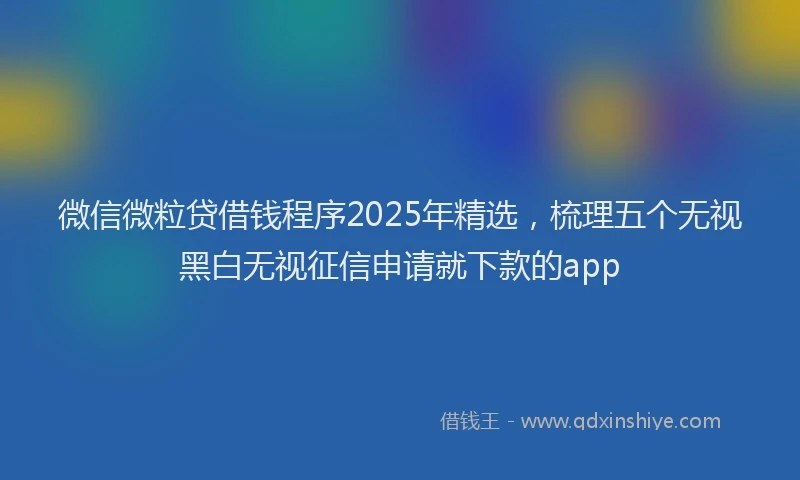 微信微粒贷借钱程序2025年精选，梳理五个无视黑白无视征信申请就下款的app