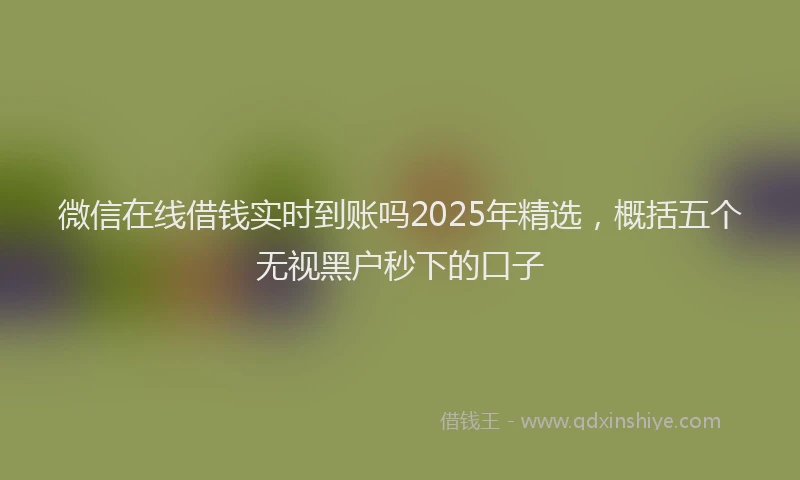 微信在线借钱实时到账吗2025年精选，概括五个无视黑户秒下的口子