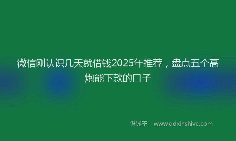 微信刚认识几天就借钱2025年推荐，盘点五个高炮能下款的口子