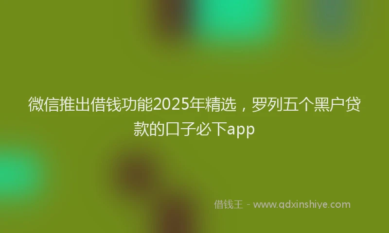 微信推出借钱功能2025年精选，罗列五个黑户贷款的口子必下app