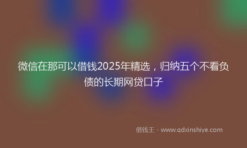 微信在那可以借钱2025年精选，归纳五个不看负债的长期网贷口子