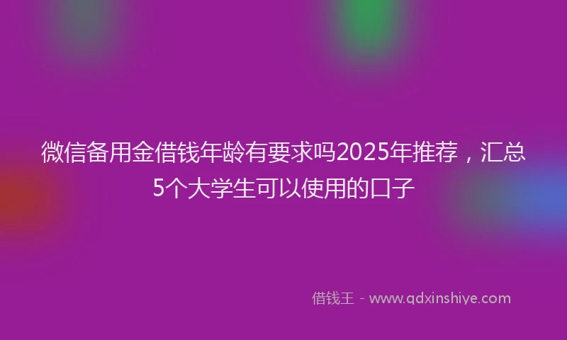 微信备用金借钱年龄有要求吗2025年推荐，汇总5个大学生可以使用的口子