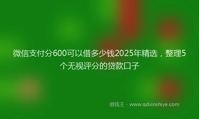 微信支付分600可以借多少钱2025年精选，整理5个无视评分的贷款口子
