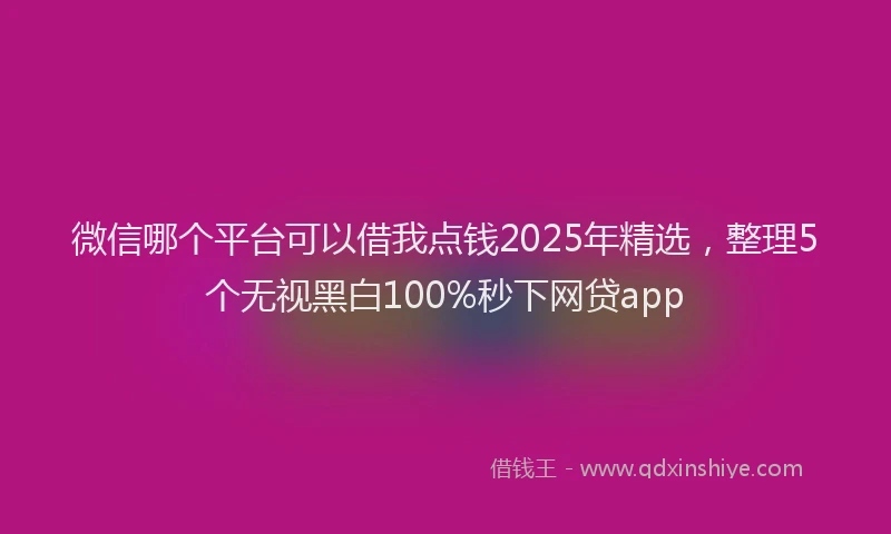 微信哪个平台可以借我点钱2025年精选，整理5个无视黑白100%秒下网贷app