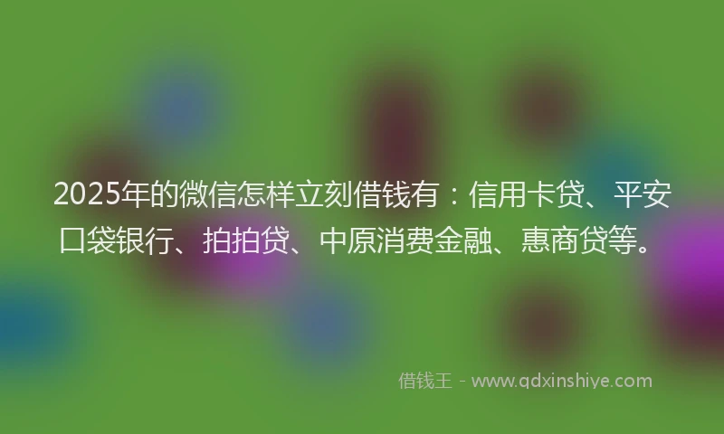 2025年的微信怎样立刻借钱有：信用卡贷、平安口袋银行、拍拍贷、中原消费金融、惠商贷等。