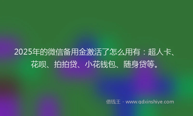 2025年的微信备用金激活了怎么用有：超人卡、花呗、拍拍贷、小花钱包、随身贷等。
