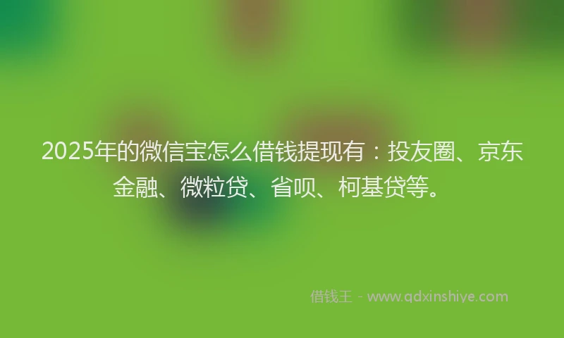 2025年的微信宝怎么借钱提现有：投友圈、京东金融、微粒贷、省呗、柯基贷等。
