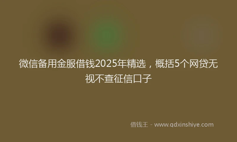 微信备用金服借钱2025年精选，概括5个网贷无视不查征信口子