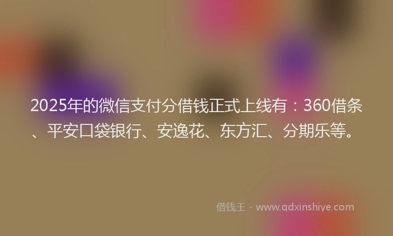 2025年的微信支付分借钱正式上线有：360借条、平安口袋银行、安逸花、东方汇、分期乐等。