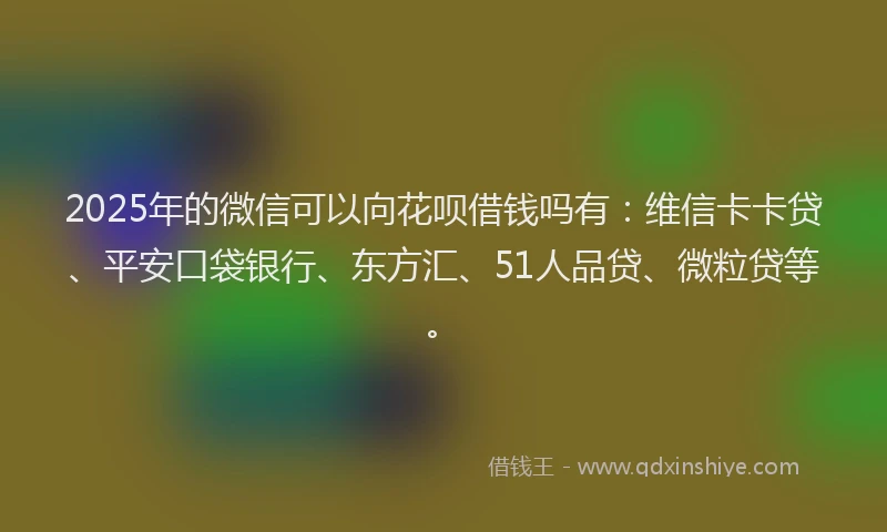 2025年的微信可以向花呗借钱吗有：维信卡卡贷、平安口袋银行、东方汇、51人品贷、微粒贷等。