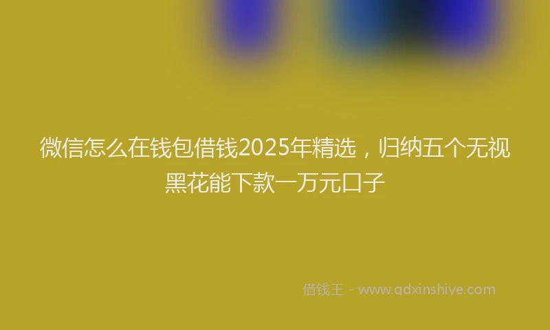 微信怎么在钱包借钱2025年精选，归纳五个无视黑花能下款一万元口子