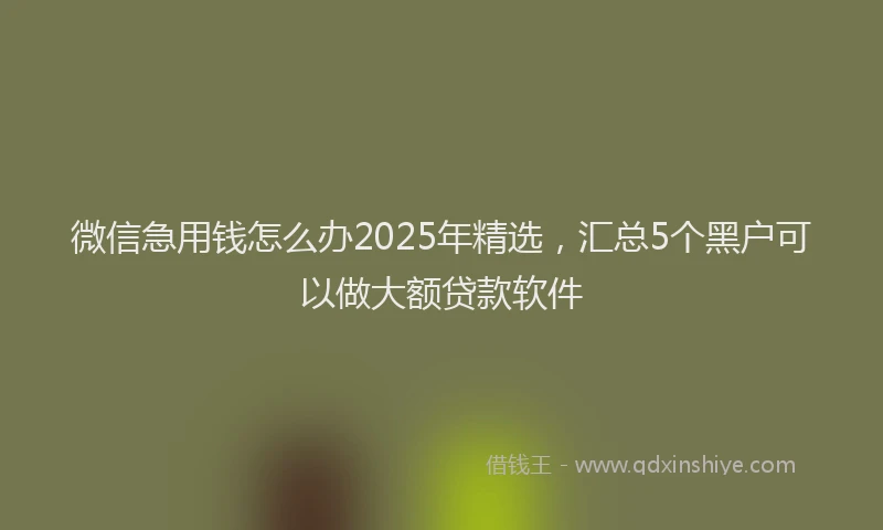 微信急用钱怎么办2025年精选，汇总5个黑户可以做大额贷款软件