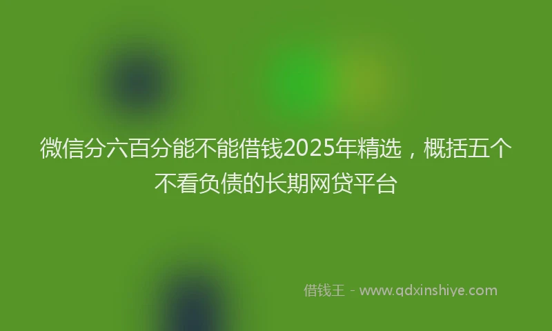 微信分六百分能不能借钱2025年精选，概括五个不看负债的长期网贷平台