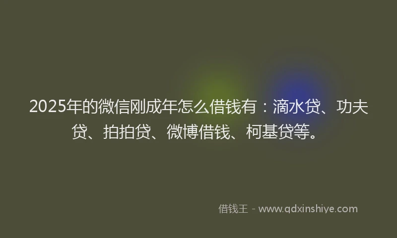 2025年的微信刚成年怎么借钱有：滴水贷、功夫贷、拍拍贷、微博借钱、柯基贷等。