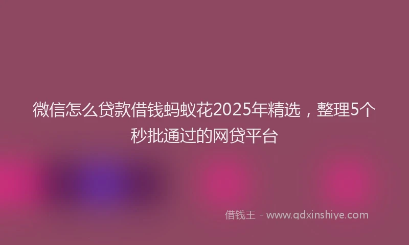微信怎么贷款借钱蚂蚁花2025年精选，整理5个秒批通过的网贷平台