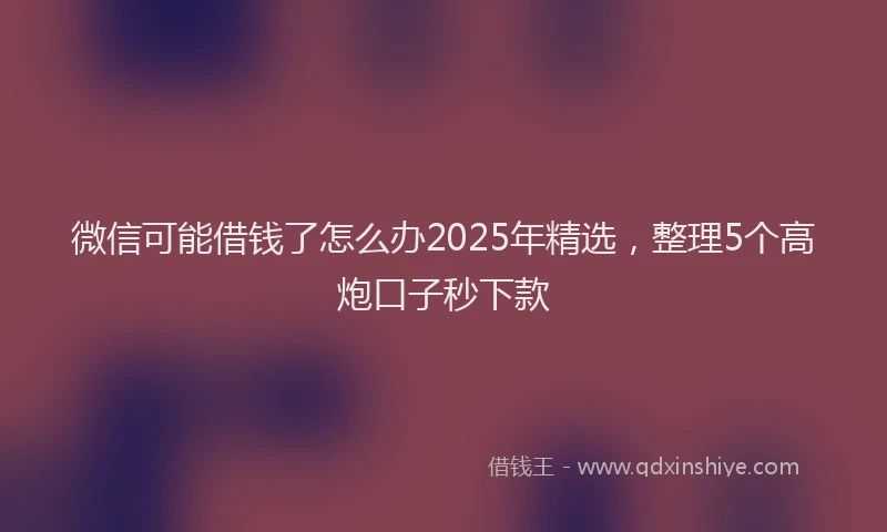 微信可能借钱了怎么办2025年精选，整理5个高炮口子秒下款