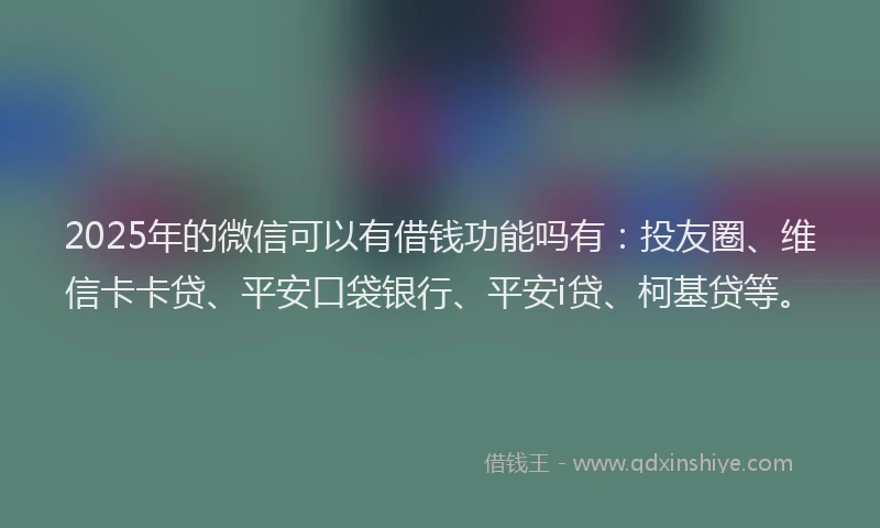 2025年的微信可以有借钱功能吗有：投友圈、维信卡卡贷、平安口袋银行、平安i贷、柯基贷等。