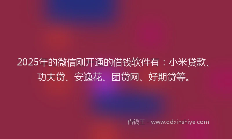 2025年的微信刚开通的借钱软件有：小米贷款、功夫贷、安逸花、团贷网、好期贷等。