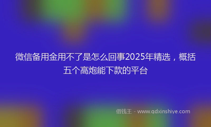 微信备用金用不了是怎么回事2025年精选，概括五个高炮能下款的平台