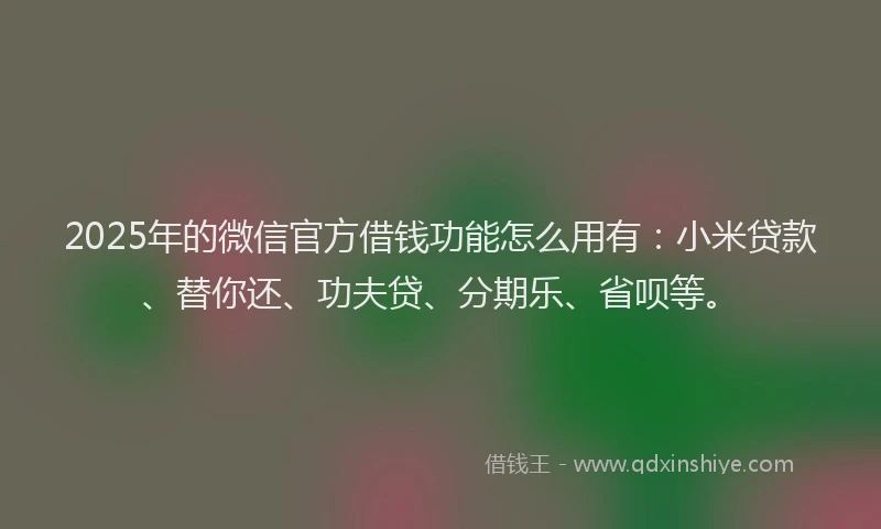2025年的微信官方借钱功能怎么用有：小米贷款、替你还、功夫贷、分期乐、省呗等。