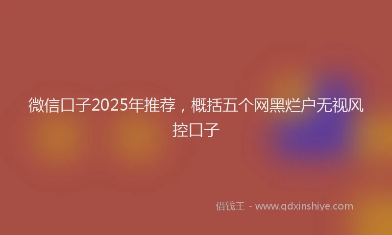 微信口子2025年推荐，概括五个网黑烂户无视风控口子