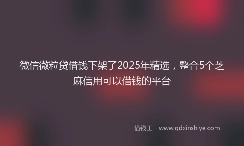 微信微粒贷借钱下架了2025年精选，整合5个芝麻信用可以借钱的平台