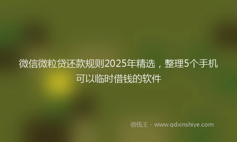 微信微粒贷还款规则2025年精选，整理5个手机可以临时借钱的软件