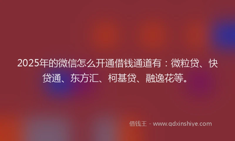 2025年的微信怎么开通借钱通道有：微粒贷、快贷通、东方汇、柯基贷、融逸花等。
