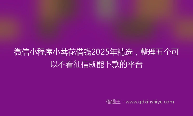 微信小程序小蓉花借钱2025年精选，整理五个可以不看征信就能下款的平台
