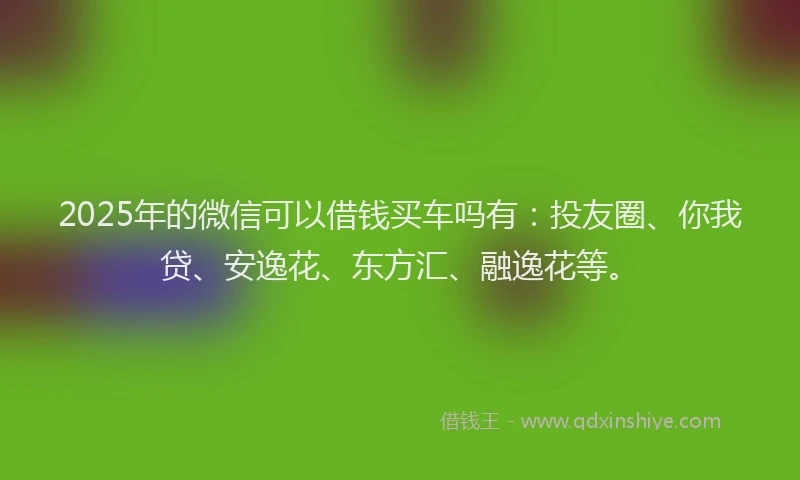2025年的微信可以借钱买车吗有:投友圈、你我贷、安逸花、东方汇、融逸花等。