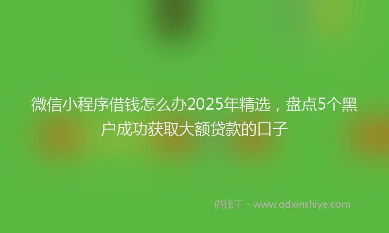 微信小程序借钱怎么办2025年精选，盘点5个黑户成功获取大额贷款的口子