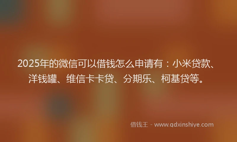 2025年的微信可以借钱怎么申请有：小米贷款、洋钱罐、维信卡卡贷、分期乐、柯基贷等。