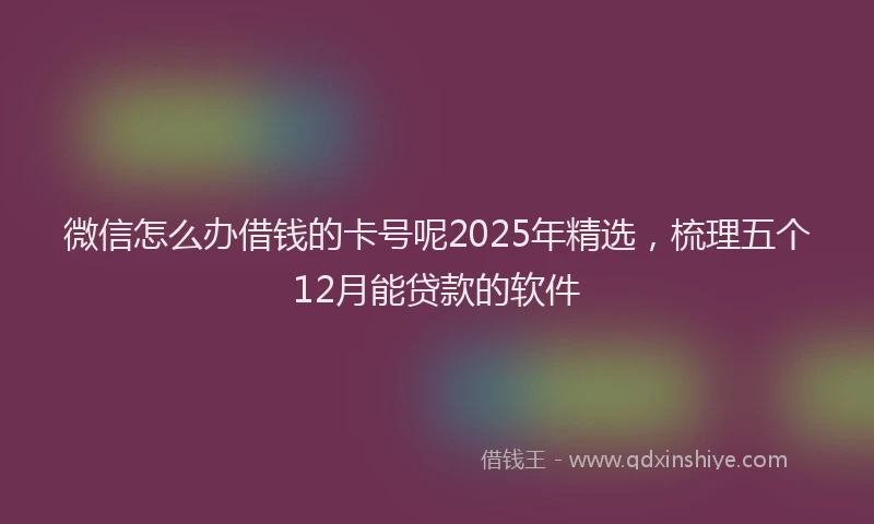 微信怎么办借钱的卡号呢2025年精选，梳理五个12月能贷款的软件