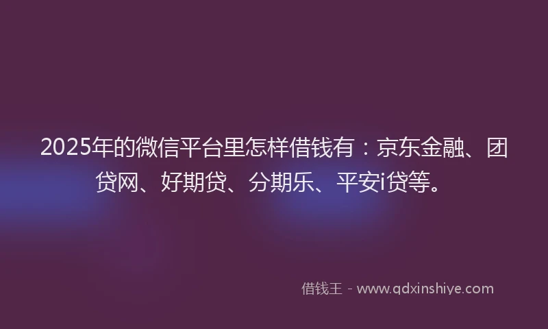 2025年的微信平台里怎样借钱有：京东金融、团贷网、好期贷、分期乐、平安i贷等。